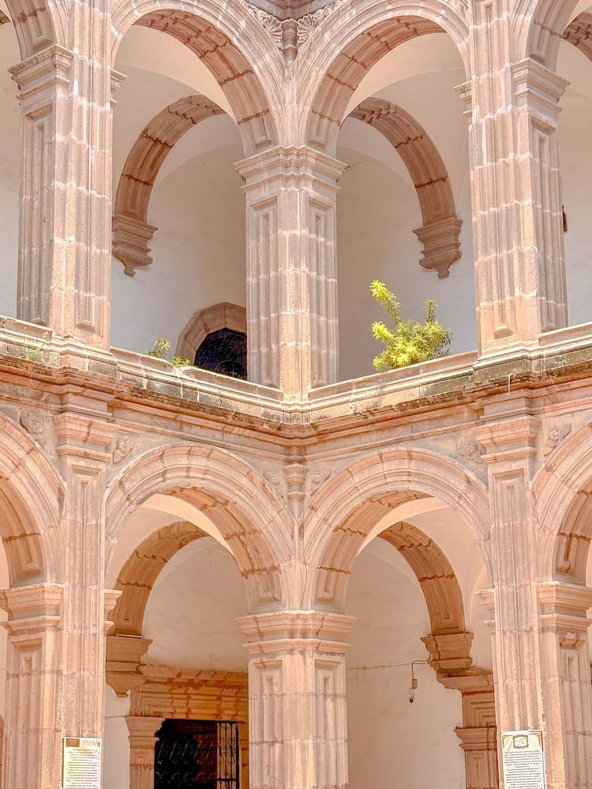 Ximena